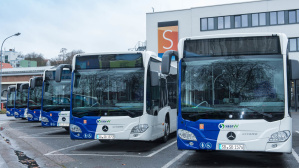 Busse Busse