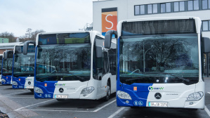 Busse Busse