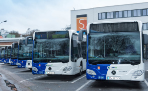 Busse Busse