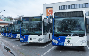 Busse Busse