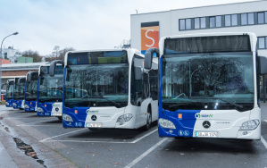 Busse Busse
