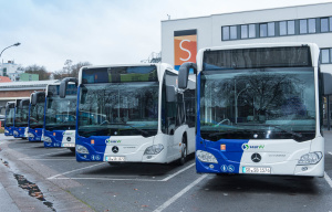 Busse Busse