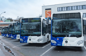 Busse Busse