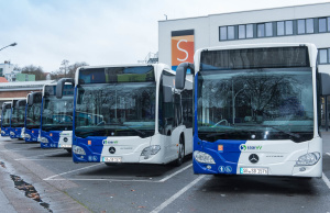 Busse Busse