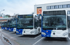 Busse Busse