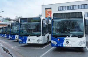 Busse Busse