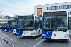 Busse Busse