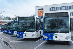Busse Busse