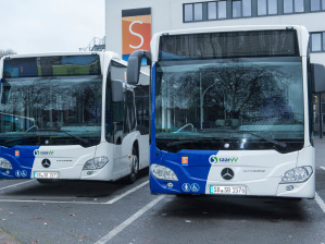 Busse Busse
