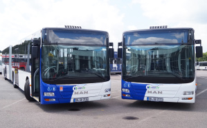 Gelenkbusse Gelenkbusse
