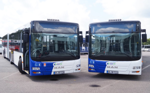 Gelenkbusse Gelenkbusse