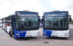 Gelenkbusse Gelenkbusse