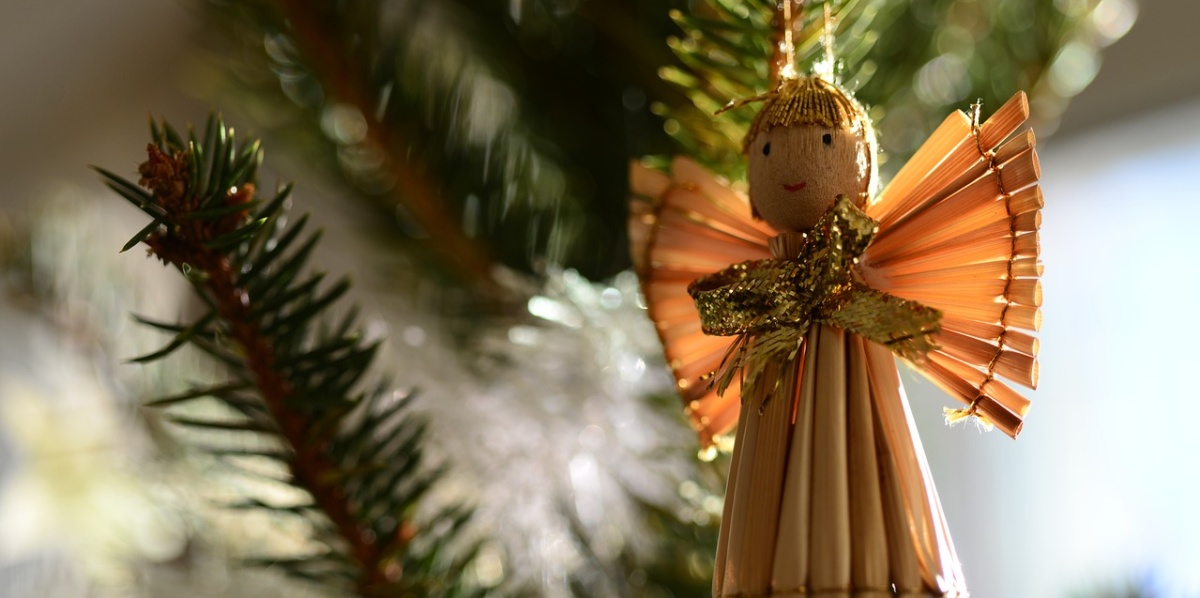 Weihnachtsgarten im DFG