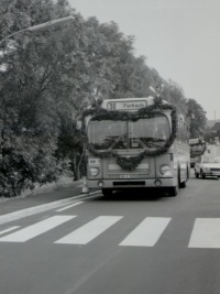 Ein mit einer großen Tannengirlande geschmückter Linienbus der Linie 30 nach Forbach nähert sich einem Zebrastreifen.
