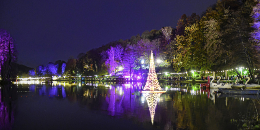 Weihnachstgarten im DFG